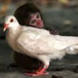 Meet your Posher, Aubrey